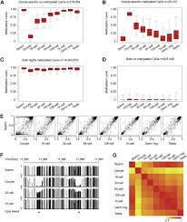 J r ketu j r. Sperm But Not Oocyte Dna Methylome Is Inherited By Zebrafish Early Embryos Cell