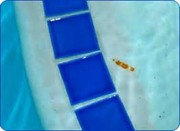 Shop devices, apparel, books, music & more. Pool Rust Stain Removal 6 Methods Intheswim Pool Blog