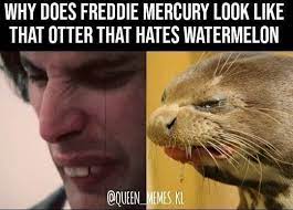 Maybe you would like to learn more about one of these? Beautiful Queen Nonsense Im Meltingggggg Queen Humor Queen Queen Meme