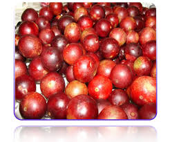 Karena warnanya yang dominan biru, maka anda harus mewarnai tubuh doraemon dengan menggunakan warna biru. Semakin Sihat Dengan Monavie Merungkai Rahsia 19 Jenis Buah Buahan Terbaik Di Dunia Page 5