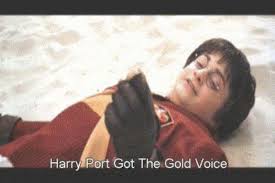 Download harry potter and the deathly hallows: Chinese Subtitles In Harry Potter Movie Harry Potter Amino