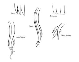 Anime curly hairstyles are so popular among anime lovers. Amvworld How To Draw Anime And Manga Hair Female