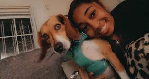 Lost dog in Bayville and surrounding areas