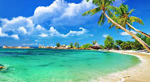 The morning sun at the seaside with a beautiful light. Hd Wallpaper Awesome Tropical Beach Hd Wallpaper Seashore Seasons Summer Wallpaper Flare