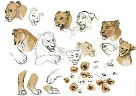 1 big cat anatomy sculpture. Lioness Expression Studies By Esava Deviantart Com On Deviantart Animal Sketches Cat Drawing Animal Drawings