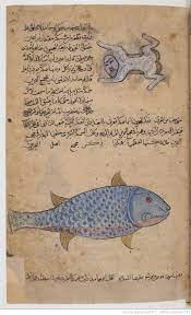 a half human half frog creature and a fish from the vaynah vinah seas from al qazwini ʿagaʾib al maḫluqat wa ġaraʾib al mawgudat art sur livre bnf reliure