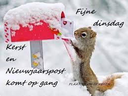 Fijne Dinsdag Kerst En Nieuwjaarspost Eekhoorn Dieren Mooi Huisdier Humor
