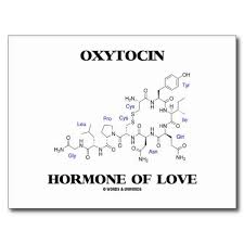 Oxytocin Hormone Of Love Without All The Labels Molecule Tattoo Madly In Love With An Endocrinologist Postcar Aufkleber Gestalten Molekul Tattoo Chemie Tattoo