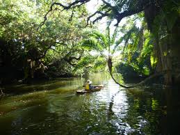 Calusa Blueway Paddling Trail By Mike Hammond Coastal