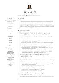 It's meant to act as an elevator pitch to convince the hiring manager you're the candidate. Account Executive Resume Writing Guide 12 Templates Pdf 20