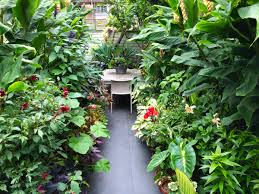 Jun 15, 2020 · the latest tweets from nudo【メンズコスメ/メンズメイク】 (@nudo_cosmetics). Plant List The Frustrated Gardener