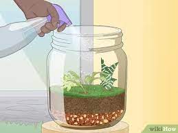 How To Grow A Garden In Bottle With