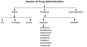 Image result for Medication Route