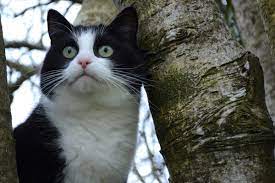 Perhaps you are a seo junkie. 52 Songs About Searching And Seeking Spinditty