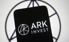 Available in a range of colours and styles for men, women, and everyone. Ark Buys Into Coinbase Near Direct Listing Debut Warrior Trading News