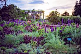 Take action now for maximum saving as these discount codes will not valid forever. Home Coastal Maine Botanical Gardens