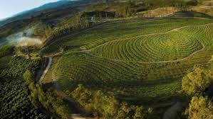 How much money can you really make driving for uber or lyft? Why Breakout Doc The Biggest Little Farm Didn T Sell To Netflix Indiewire