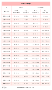 American Us Bra Sizes In Inches And Centimeters