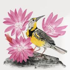 The yoga place, bennington, vermont. The Yoga Place Home Facebook