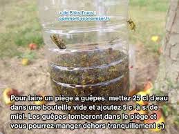 Comment se débarrasser des moucherons. Marre Des Guepes Quand Vous Mangez Dehors L Astuce Pour Etre Tranquille Piege A Guepe Nettoyer Joints Carrelage Comment Eloigner Les Guepes