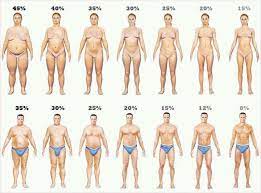 Fat Cutting Guide Gainit