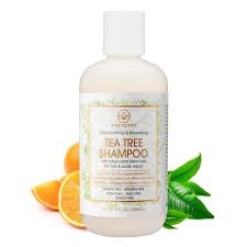 Amazon Com Era Organics Tea Tree Oil Shampoo Premium Sulfate Free Moisturizing Shampoo To Hydrate Dry Hair Soothe Flaking Itchy Scalp With Plant Stem Cell Technology For Dry Itchy Scalp 8oz