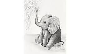 Animal Drawing Cute Baby Elephant Sketch Small Online Class For Ages 10 15 Outschool
