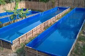 Kolam Ikan Pembuatan Kolam Ikan