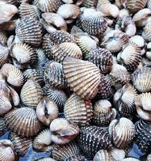 Coquillages et crustacés façon trish deseine ce sont des recettes simples et pleines de panache. Coquillages Crustaces De Saison La Table Des Saveurs