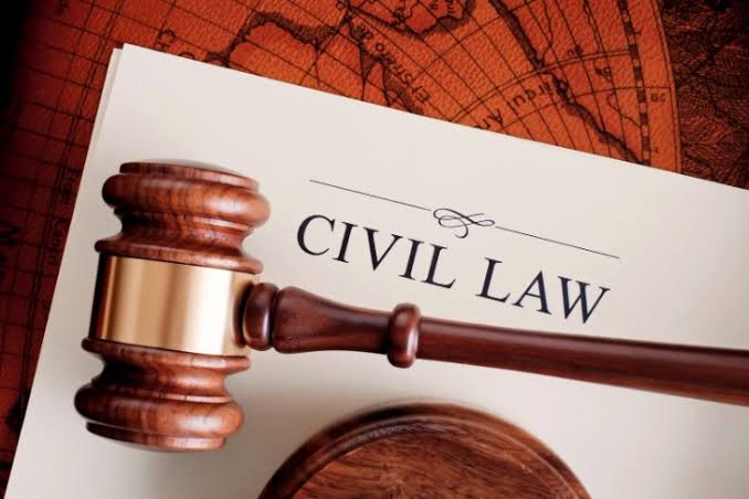 Description of civil lawyers