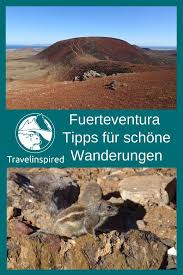 Pin Auf Reiseblogs Gruppenboard