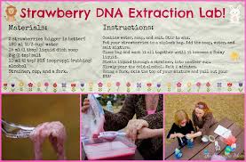 Pin On Dna