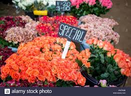 Buy handmade paper flowers and get the best deals at the lowest prices on ebay! Red Roses Prices In South Africa