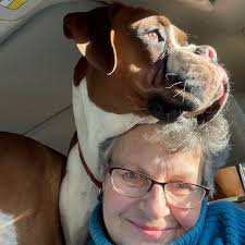 ❌animal abuse ✓animal use #cleaning #corgi #husky #9gag