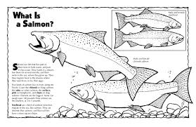 Printable pacific salmon coloring pages for preschoolers. The Pacific Salmon And Steelhead Coloring Book