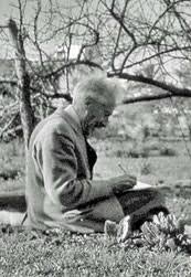 Captain collingwood ingram (known as cherry ingram) was a plant collector with world authority and a prunus collingwood ingram is a dainty, upright, erect tree with an elegant habit reaching an. Grand Old Man Collingwood Ingram Gardener Naturalist And Diarist