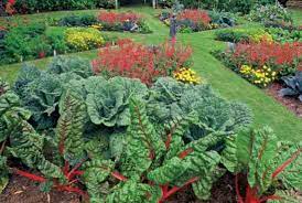 From edible landscapes and front yard vegetable gardens, to incorporating native plants and attracting pollinators, if you've ever questioned the rules of vegetable gardening, this site is for you! Eat Your Yard How To Design An Edible Landscape Natural Landscaping Natural Home Amp Garden