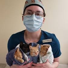 MSM The Messenger Fall 2024 by Wheelhouse Publishing