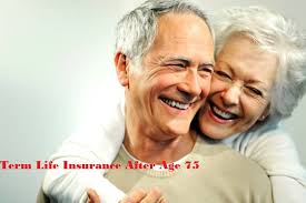 We did not find results for: Life Insurance Quotes For Seniors Over 75 04 Quotesbae
