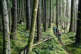 It is a 180 km (110mi) stretch of rainforest, seashore and mountains. Bc Bucket List The Sunshine Coast Pinkbike
