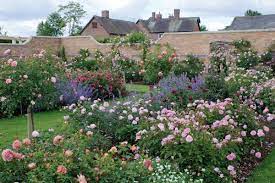 Pixar Boosts Invasion Of English Roses By Author Austin Rose Garden Design Beautiful Gardens Roses Garden Care
