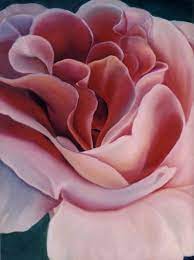 Learn how o'keeffe's early days as an art student led to her first successful exhibition at an important new york gallery. Rosebush ãŠã—ã‚ƒã‚Œã¾ã¨ã‚ã®äººæ°—ã‚¢ã‚¤ãƒ‡ã‚¢ Pinterest Eliza èŠ± ã‚¸ãƒ§ãƒ¼ã‚¸ã‚¢