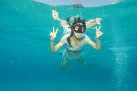 We did not find results for: Guided Snorkeling In Eilat Israel With Nautilus Red Sea Bild Von Nautilus Red Sea Scuba Diving Eilat Tripadvisor