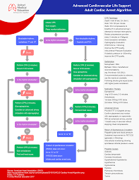 Behandlung bei akutem koronarsyndrom und schlaganfall. Acls Algorithms 2020 Advanced Cardiac Life Support