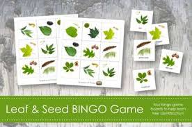 Maybe you would like to learn more about one of these? Leaf Bingo Game Montessori Leaf And Tree Identification Learning Materials