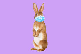 An intransitive verb is one that does not require a direct object (e.g. How To Celebrate Easter During Coronavirus Quarantine Los Angeles Times