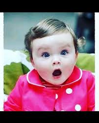 Michelle's Easter Cakes 15 total for sale Flavors are chocolate, vanilla,  confetti, and carrot 1. Log 2. Chick 3. Eggs 4. Carrot 6” $30 8” $45 10”  $55 As always call or