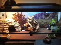 Bearded Dragon Enclosure With Thermometers Bearded Dragon Tank Bearded Dragon Terrarium Ideas Bearded Dragon Tank Setup