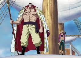 8 Things You Should Know About Marco The Phoenix One Piece