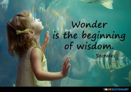 Quotes By Socrates